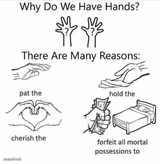 Why do we have hands? (all blank)