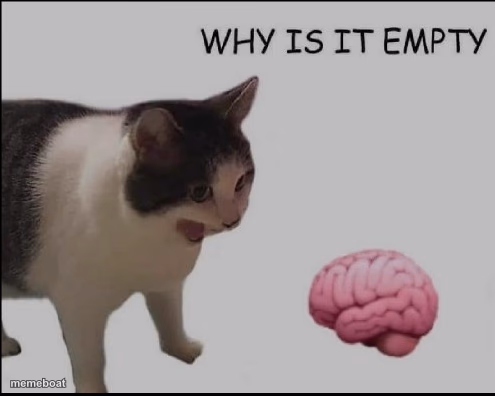 why is it empty? - meme generator image preview