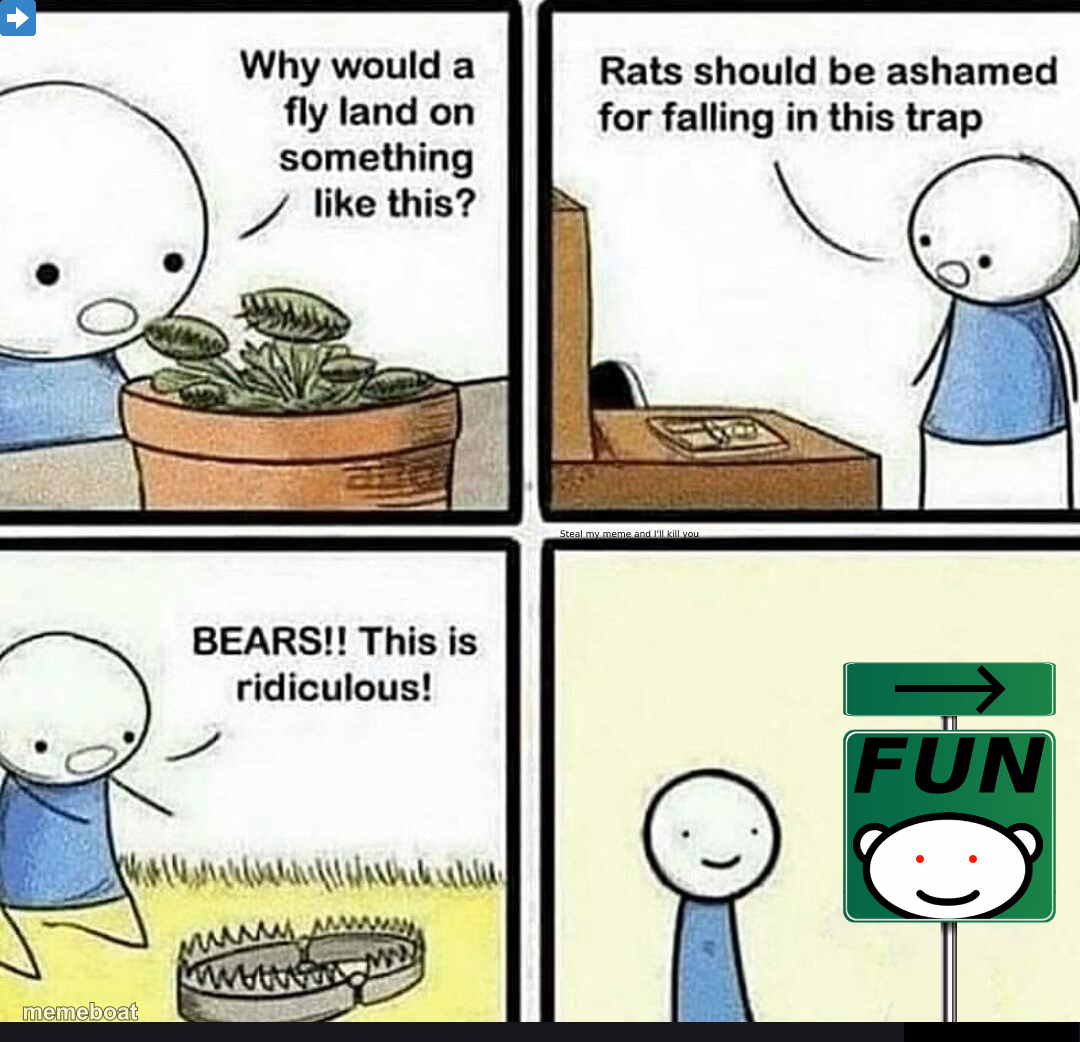 Why would fly land on this? - meme generator image preview
