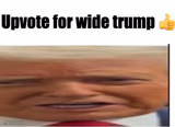WideTrump