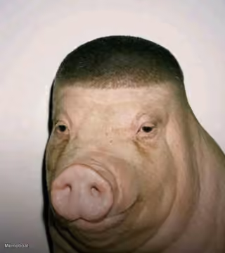 Wigger Pig / Pig with a Buzz Cut Fade