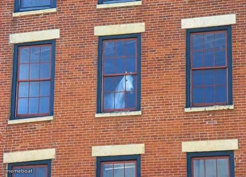 window horse - meme generator image preview