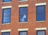 window horse