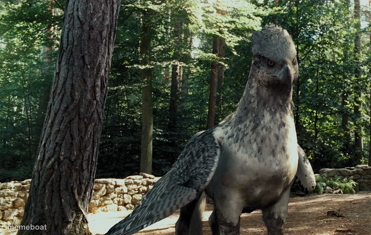 Wise Buckbeak - meme generator image preview