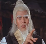 Wise Kung Fu Master
