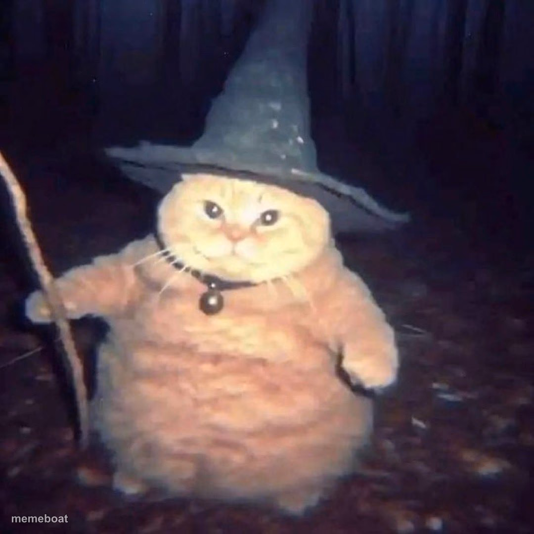 Wizard cat - meme generator image preview