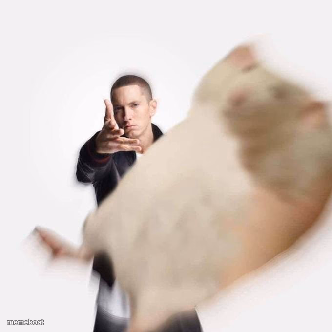 Woe Plague Be Upon Ye - meme generator image preview