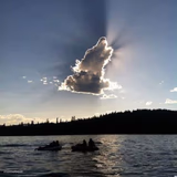 Wolf or Rabbit?