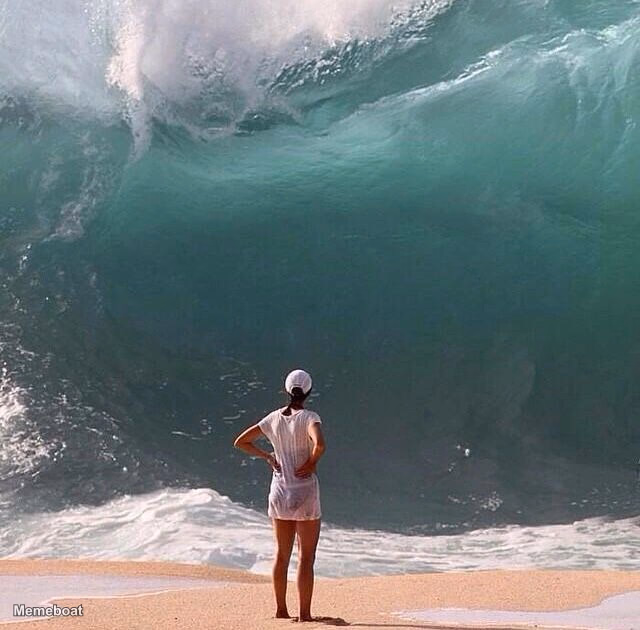 Woman Facing Giant Wave - meme generator image preview
