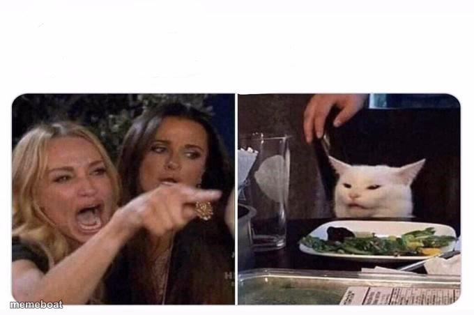Woman shouting at cat - meme generator image preview