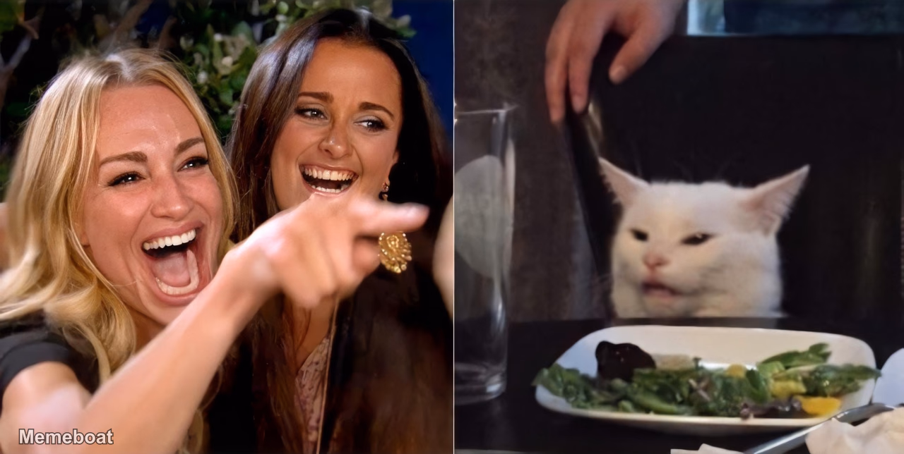 Woman Yelling At Cat - meme generator image preview