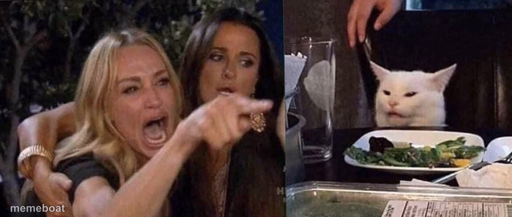 woman yelling at cat - meme generator image preview