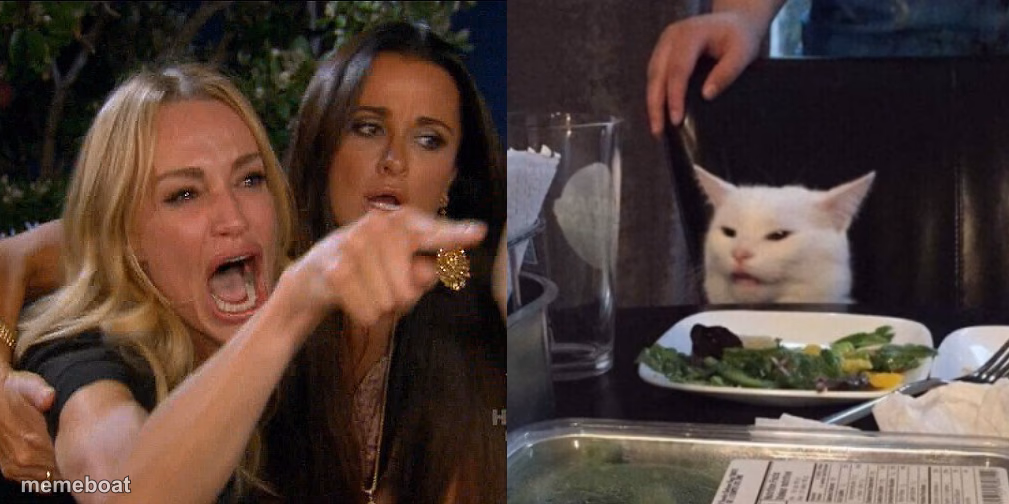 Woman yelling at cat - meme generator image preview