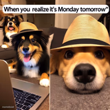 work dogs