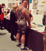 Work out clothes cat