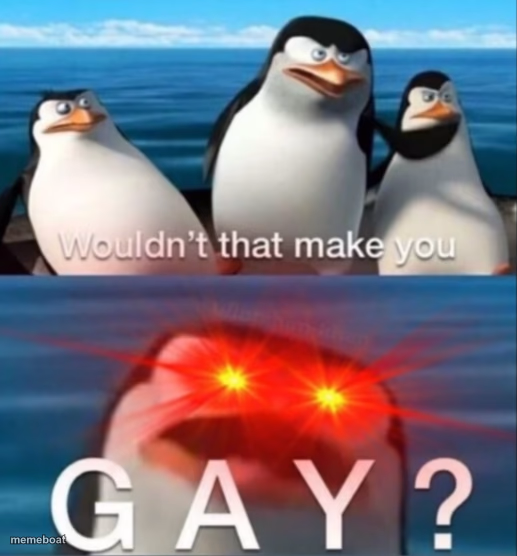 Wouldn't that make you gay - meme generator image preview