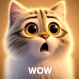 Wow cat