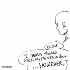 Wow, i really shouldn't stick my- - meme generator image preview