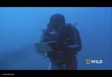 Writing underwater