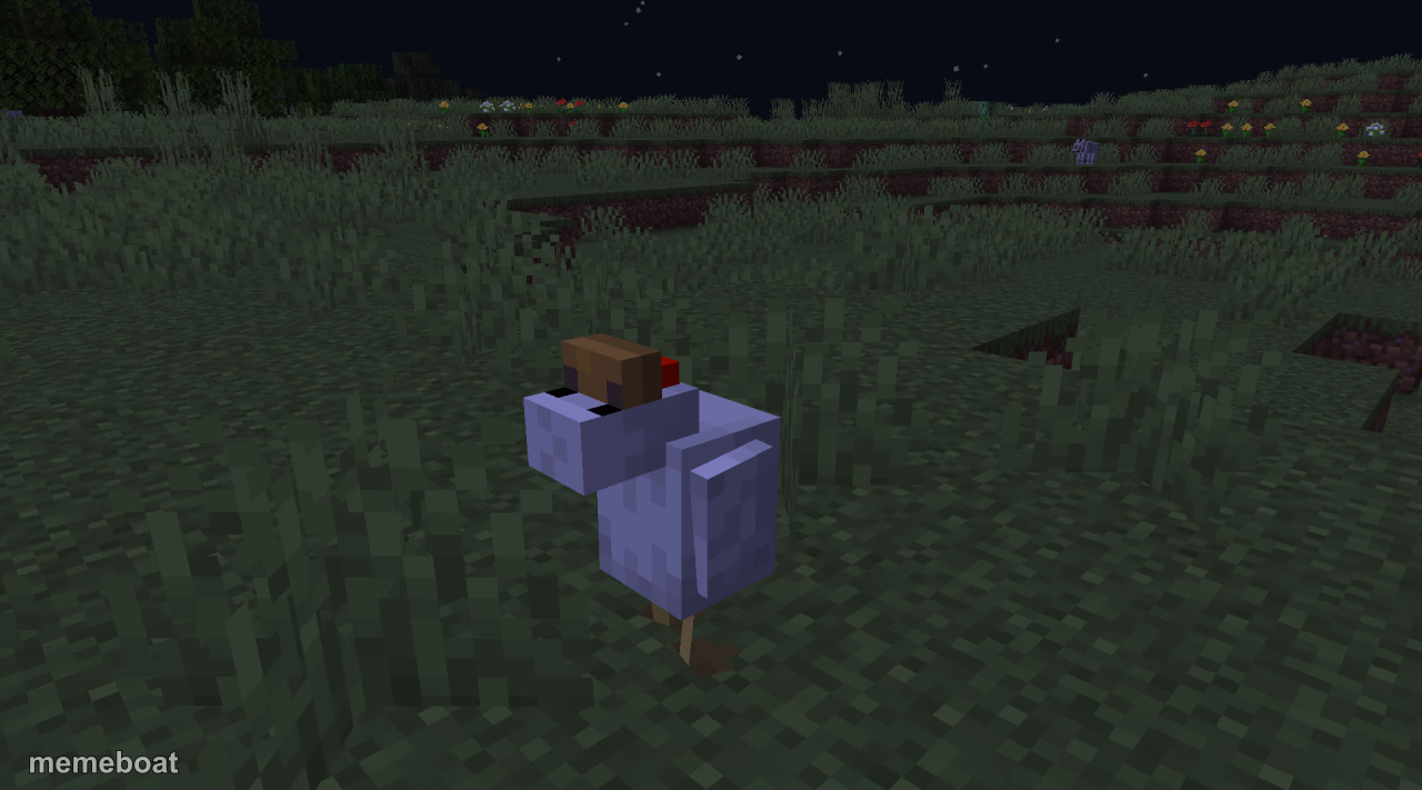 Wtf chicken - meme generator image preview