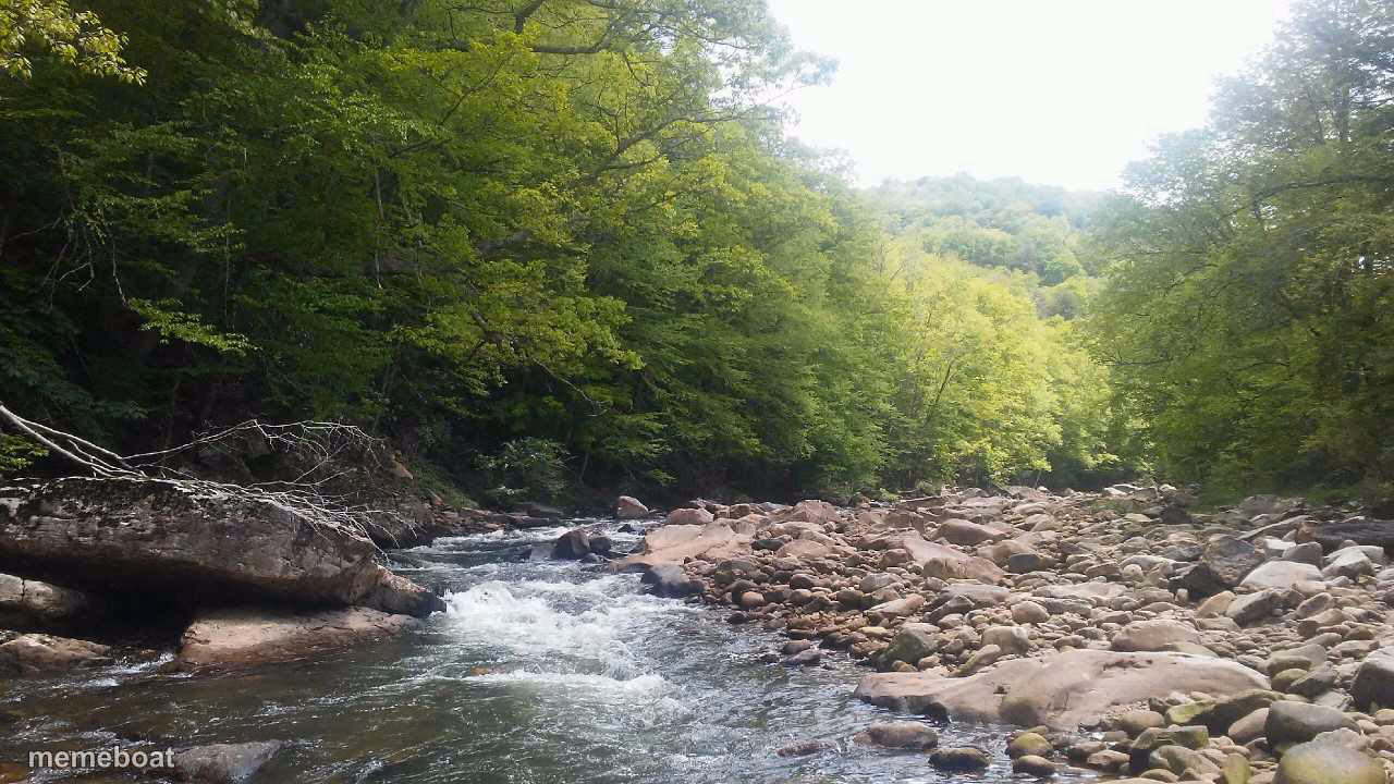 WV Mountain Stream - meme generator image preview