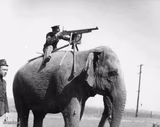WW1 jumbogun