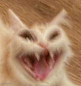 XD