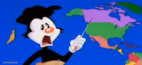 Yakko Warner