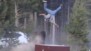 Yellowstone Bison Attack