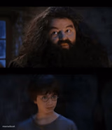 you are a wizard harry