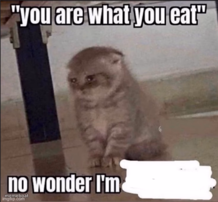 you are what you eat - meme generator image preview