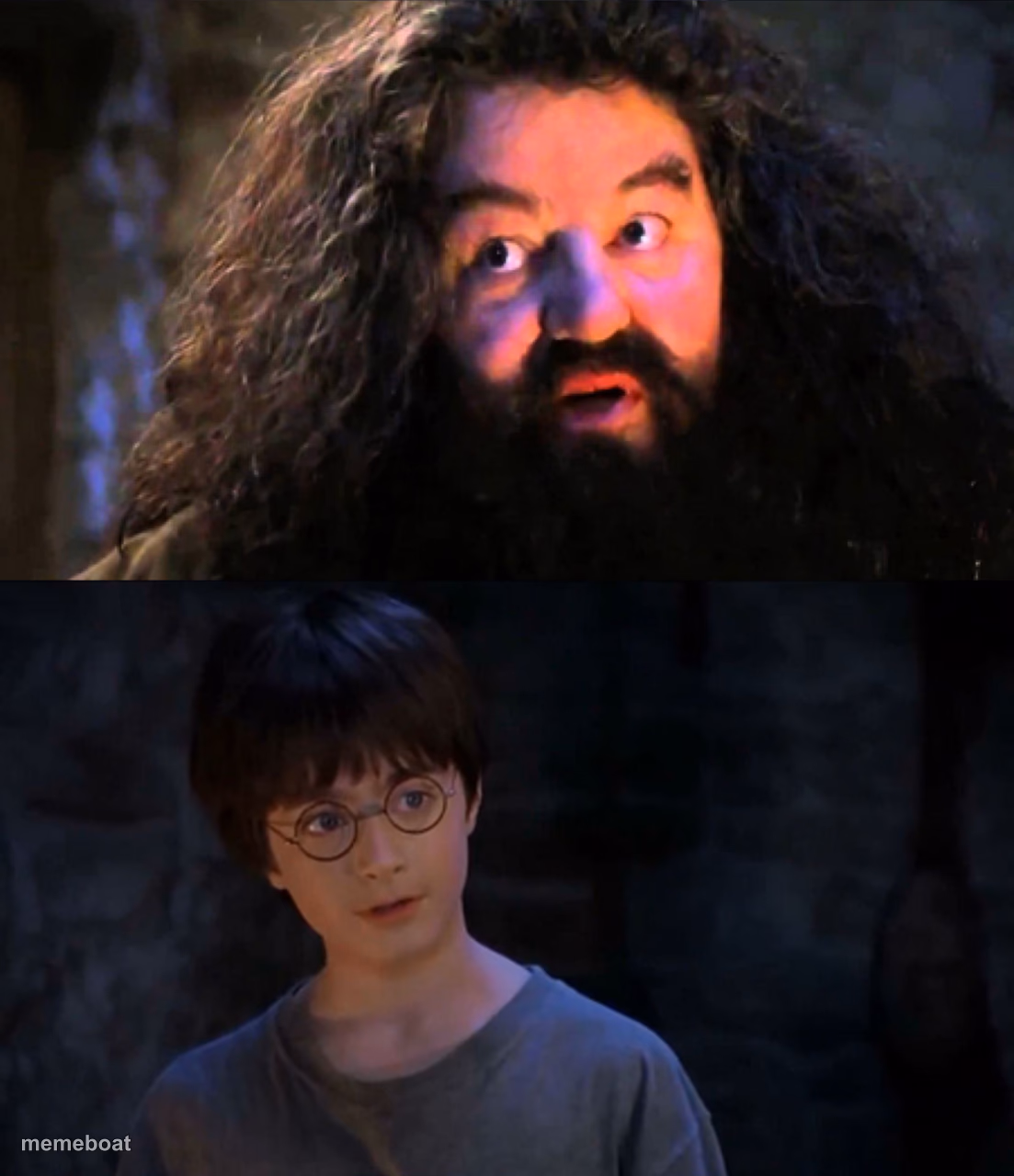 You are wizzard harry - meme generator image preview