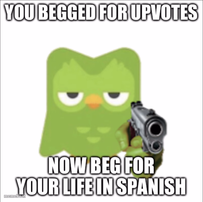 You begged for upvotes - meme generator image preview