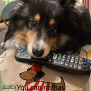You can no has - meme generator image preview
