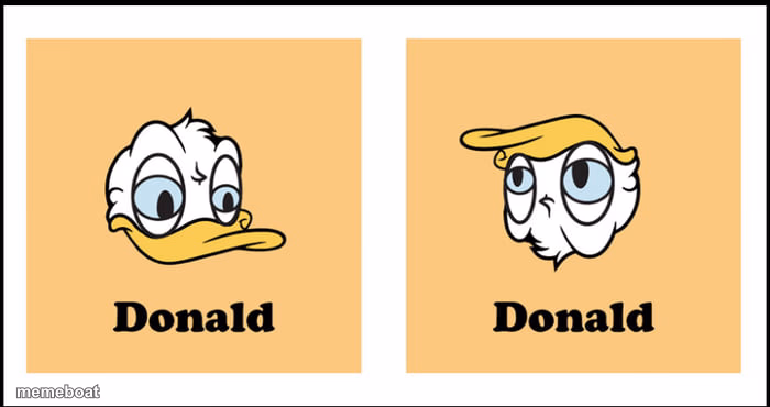 You got the other donald - meme generator image preview