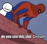 You see this shit Dream?