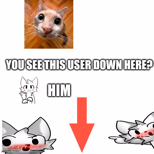 You see this user down there?boykisser him. - meme generator image preview