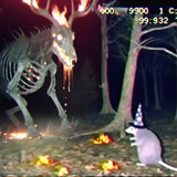 You Shall Not Pass!