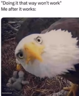 You were saying