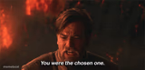 you were the chosen one