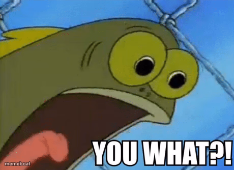 YOU WHAT! - meme generator image preview