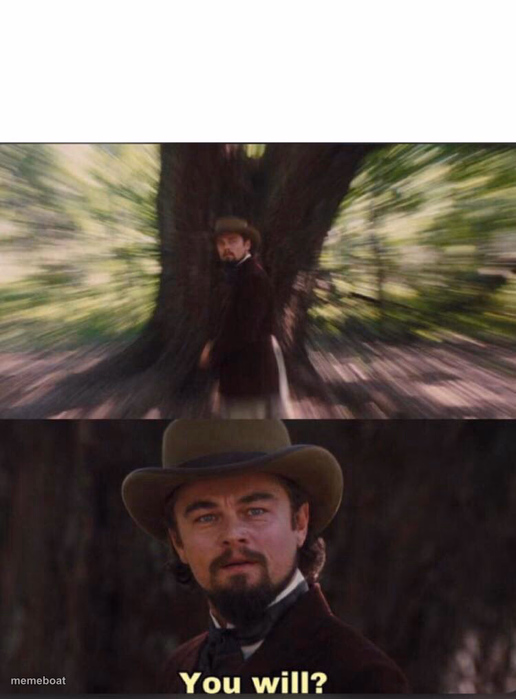 You will? Leonardo, django - meme generator image preview