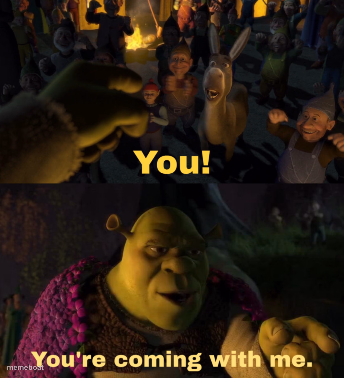 You! You're coming with me - meme generator image preview