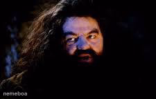 your a wizard harry - meme generator image preview