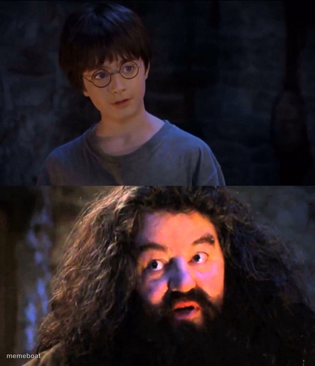 You're a wizard Harry - meme generator image preview