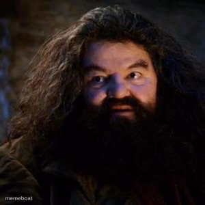 You're a wizard harry - meme generator image preview