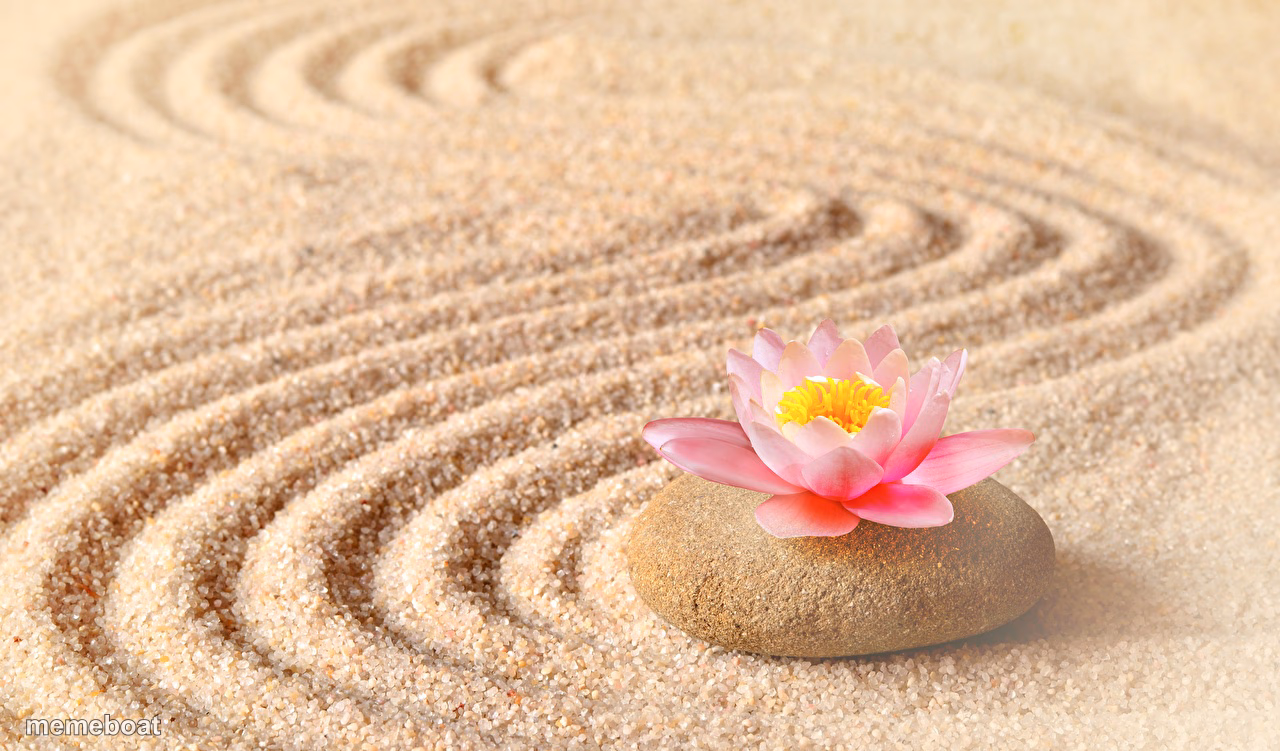 Zen Sand Garden & Lotus Flower - meme generator image preview