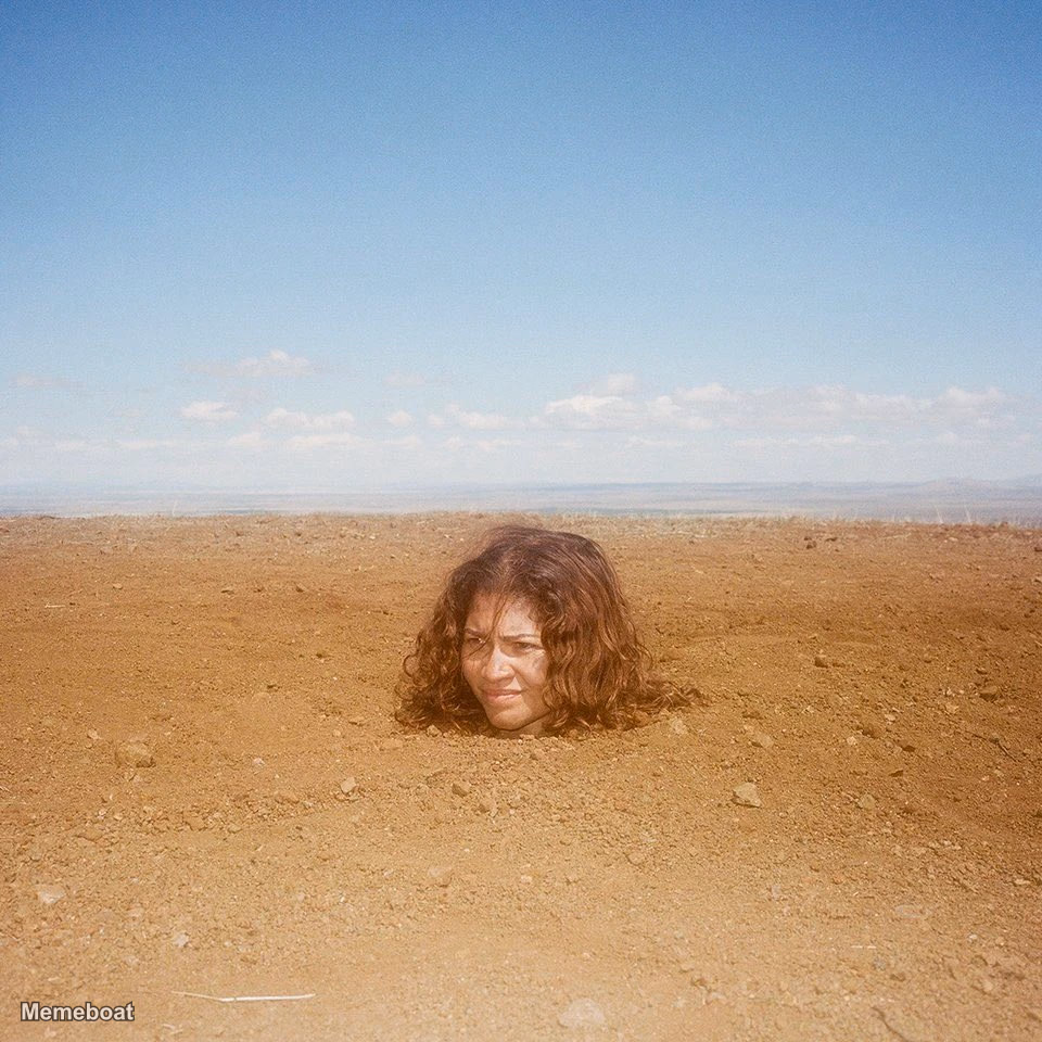 Zendaya Neck-deep in Desert Dirt - 'Euphoria' S3 - meme generator image preview