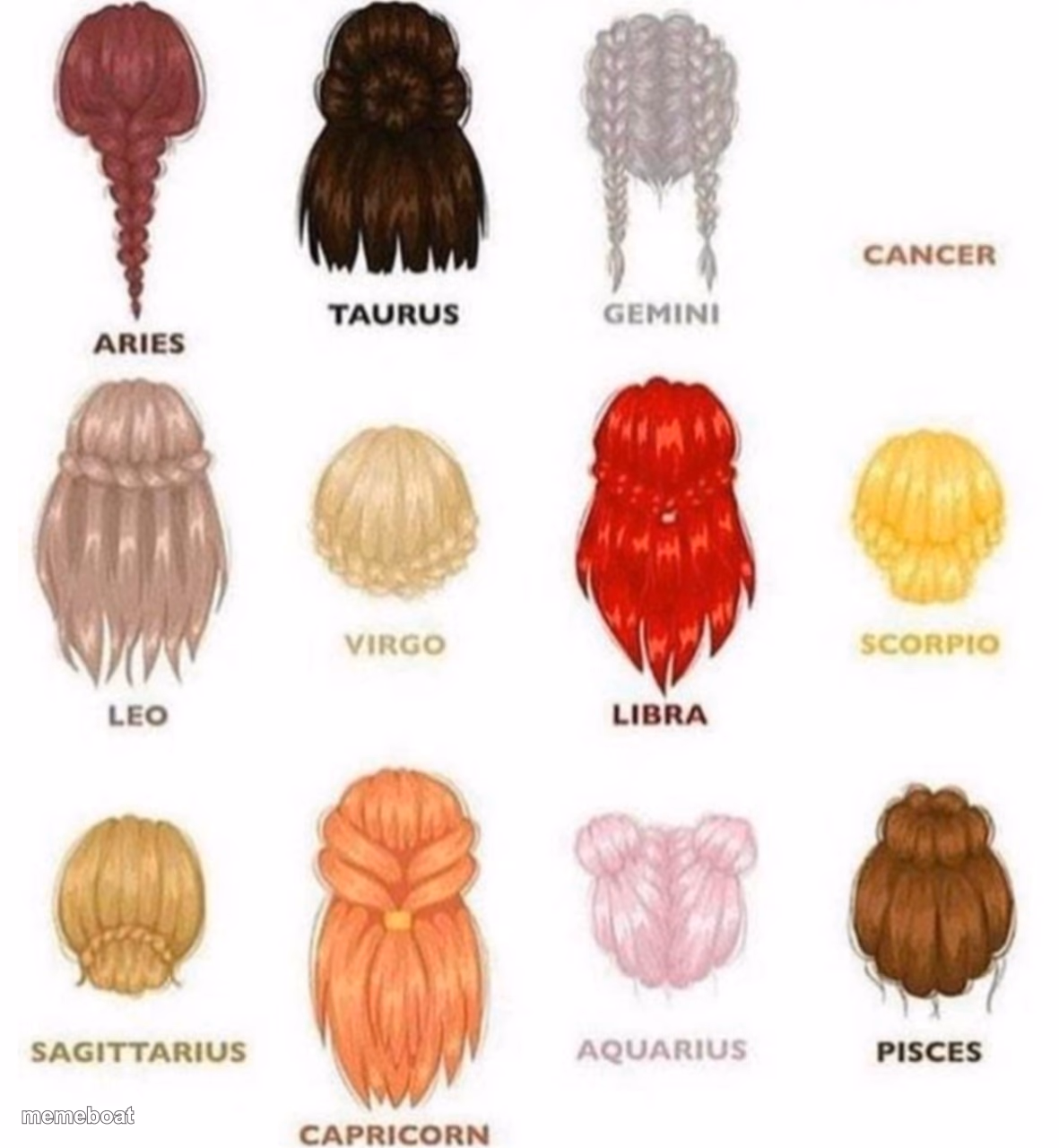 Zodiac Signs As Hair… - meme generator image preview