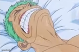 Zoro in Pain